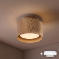 BRILAGI - LED prožektors BACKLIT 1xGX53/15W/230V + LED/3W Ø 10 cm ozola dekors