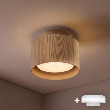 BRILAGI - LED prožektors BACKLIT 1xGX53/15W/230V + LED/3W Ø 10 cm ozola dekors