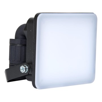 Brilagi - LED Prožektors ELARA PRO LED/10W/230V IP65