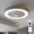 Brilagi - LED regulējama griestu lampa ar ventilatoru LED/38W/230V 3000-6500K 3000-6500K diam. 50 cm pelēka/ozols + ar tālvadības pulti