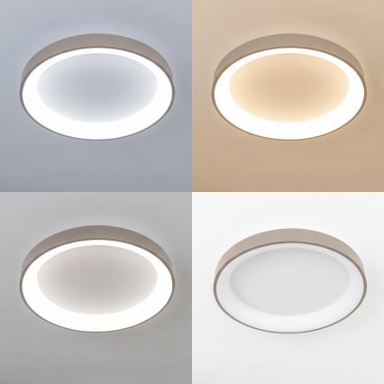 BRILAGI - LED aptumšojams griestu gaismeklis FALCON II LED/99W/230V 3000-6500K Ø 60 cm balts/bēšs + ar tālvadības pulti