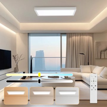 Brilagi - LED Regulējama griestu lampa FRAME SMART LED/30W/230V 30x60 cm 3000-6000K IP44 baltā + tālvadības pults