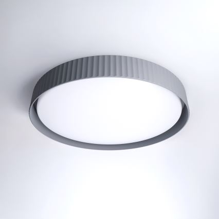 Brilagi - regulējams LED griestu gaismeklis LUCIA LED/60W/230V 3000–6500K Ø59 cm pelēks + tālvadības pults