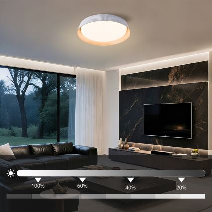 Brilagi - LED aptumšojams griestu gaismeklis ORINO LED/54W/230V 3000-6000K balts Ø 43 cm + tālvadības pults