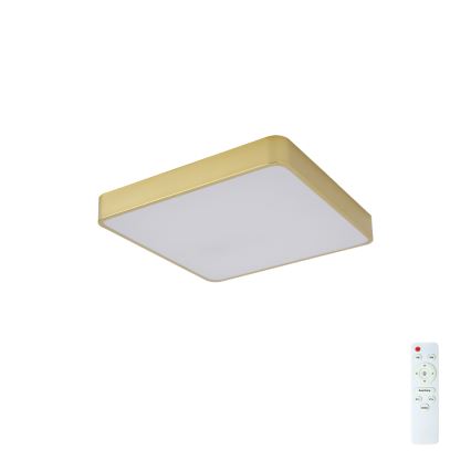 Brilagi - Aptumšojams LED griestu gaismeklis POOL LED/36W/230V 3000-6000K 40x40 cm zelta + tālvadības pults