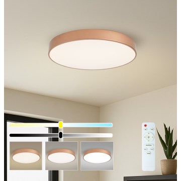 BRILAGI - LED regulējama griestu lampa POOL LED/60W/230V 3000-6000K Ø 60 cm bronzas krāsā + tālvadības pults