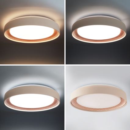Brilagi - LED regulējams griestu gaismeklis WALDO LED/48W/230V 3000-6500K Ø 40 cm bēša/zelta + ar tālvadības pulti