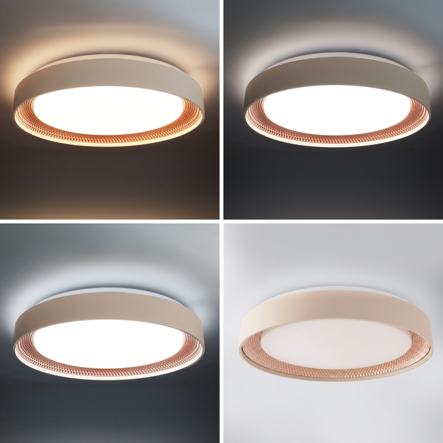 Brilagi - LED regulējams griestu gaismeklis WALDO LED/48W/230V 3000-6500K Ø 40 cm bēša/zelta + ar tālvadības pulti