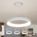 BRILAGI - LED regulējama karājamā lustra ar kabeli FALCON II LED/99W/230V 3000-6500K diam. 60 cm balta + tālvadības pults