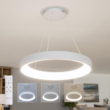 BRILAGI - LED regulējama karājamā lustra ar kabeli FALCON II LED/99W/230V 3000-6500K diam. 60 cm balta + tālvadības pults