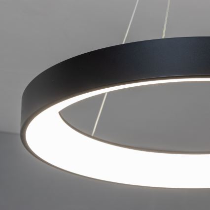 Brilagi - LED aptumšojama lustra uz troses FALCON II LED/99W/230V 3000-6500K Ø 60 cm melna + tālvadības pults