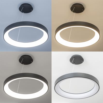 Brilagi - LED aptumšojama lustra uz troses FALCON II LED/99W/230V 3000-6500K Ø 60 cm melna + tālvadības pults