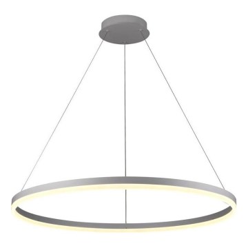 Brilagi - LED regulējama kulona lampa uz troses CIRCLE LED/55W/230V 3000-6500K Ø 80 cm sudraba + tālvadības pults