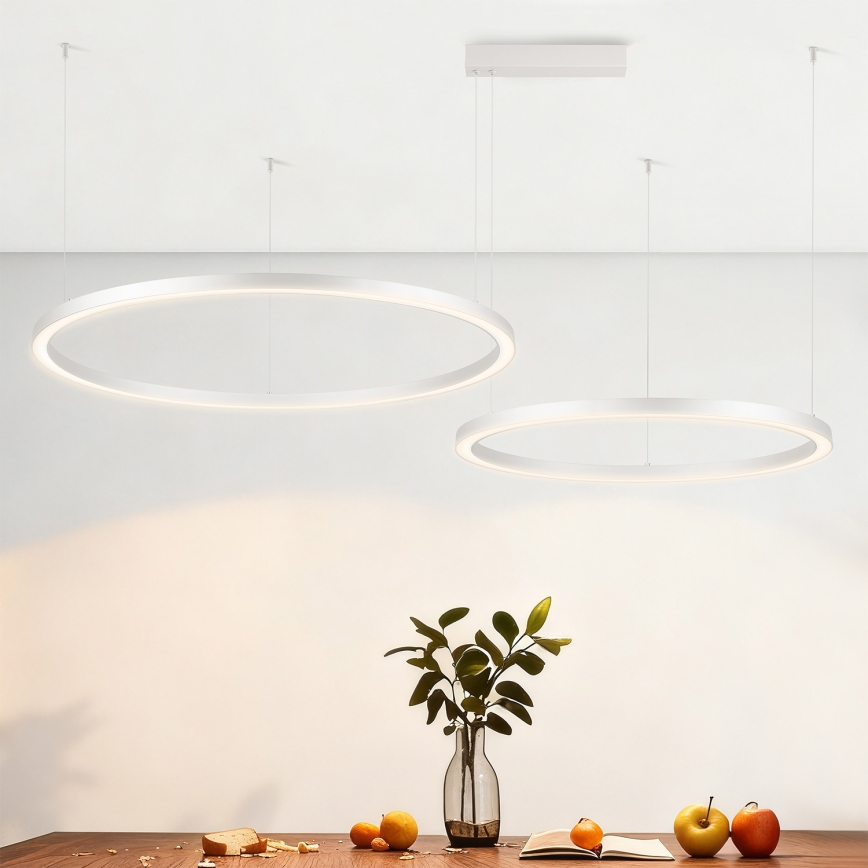 Brilagi - LED aptumšojams lustrs uz troses PORTOFINO LED/98W/230V 3000-6000K sudraba + tālvadības pults