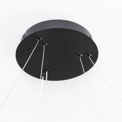 Brilagi - LED dimmējams pakaramais gaismeklis uz kabeļa FALCON SLIM LED/68W/230V 3000–6500K Ø 50 cm melns + tālvadība