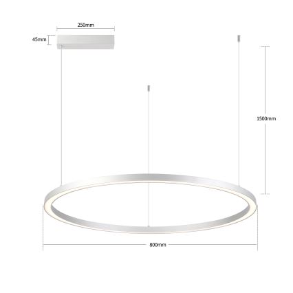 Brilagi - regulējama LED lustra uz troses PORTOFINO LED/60W/230V 3000-6000K Ø 80 cm sudraba + ar tālvadības pulti