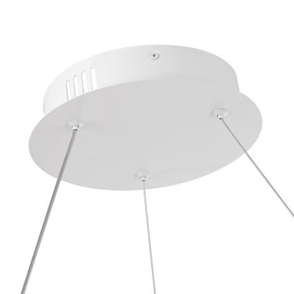 Brilagi - LED aptumšojams lustrs uz troses TWISTER LED/105W/230V 3000-6000K Ø100 cm balts + tālvadības pults