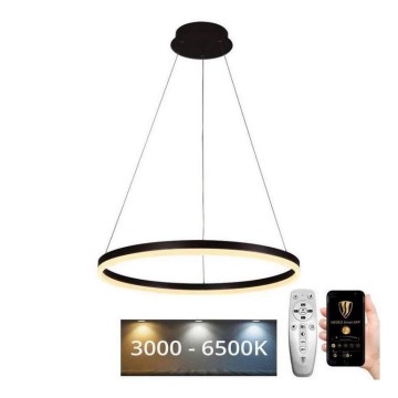 Brilagi - LED regulējama lustra uz troses CIRCLE LED/42W/230V 3000-6500K diam. 60 cm + tālvadības pults