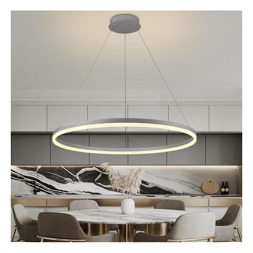 Brilagi - LED regulējama kulona lampa uz troses CIRCLE LED/55W/230V 3000-6500K Ø 80 cm sudraba + tālvadības pults