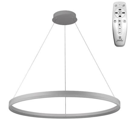 Brilagi - LED regulējama kulona lampa uz troses CIRCLE LED/55W/230V 3000-6500K Ø 80 cm sudraba + tālvadības pults
