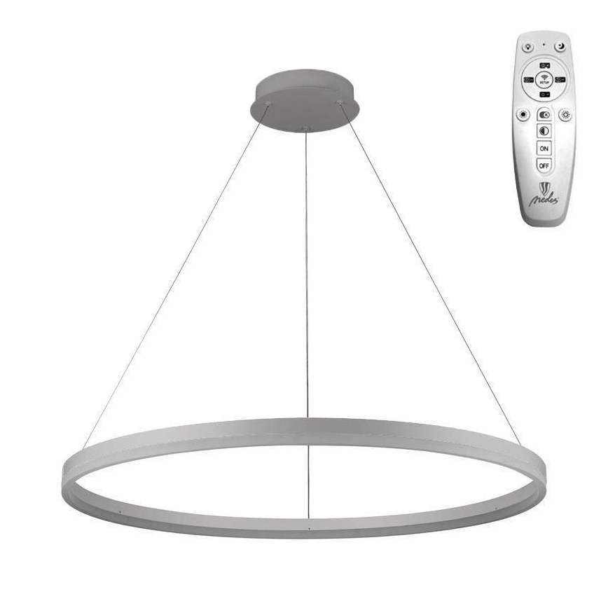 Brilagi - LED regulējama kulona lampa uz troses CIRCLE LED/55W/230V 3000-6500K Ø 80 cm sudraba + tālvadības pults