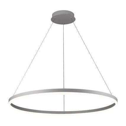 Brilagi - LED regulējama kulona lampa uz troses CIRCLE LED/55W/230V 3000-6500K Ø 80 cm sudraba + tālvadības pults