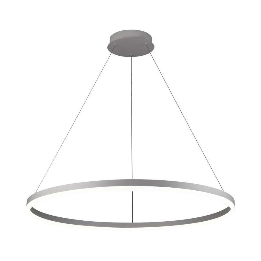 Brilagi - LED regulējama kulona lampa uz troses CIRCLE LED/55W/230V 3000-6500K Ø 80 cm sudraba + tālvadības pults