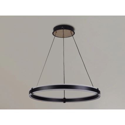 Brilagi - LED dimmējama lustra uz troses CIRCLE LED/85W/230V 3000-6500K diam. 60 cm melna/zelta + tālvadības pults