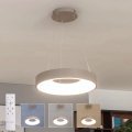 BRILAGI - LED regulējama lustra uz troses FALCON II LED/67W/230V 3000-6500K Ø 40 cm bēša + tālvadības pults