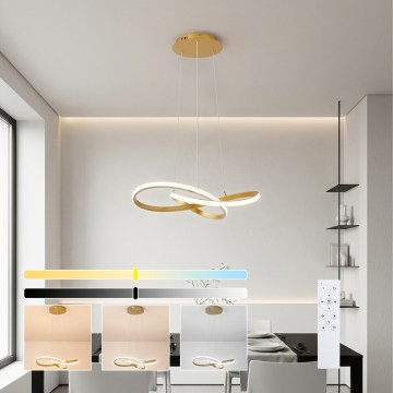Brilagi - LED regulējama lustra uz troses INFINITY LED/55W/230V 3000-6000K 50x50 cm zelta + tālvadība