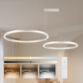 Brilagi - LED regulējama lustra uz troses PORTOFINO LED/98W/230V 3000-6000K sudraba + tālvadības pults