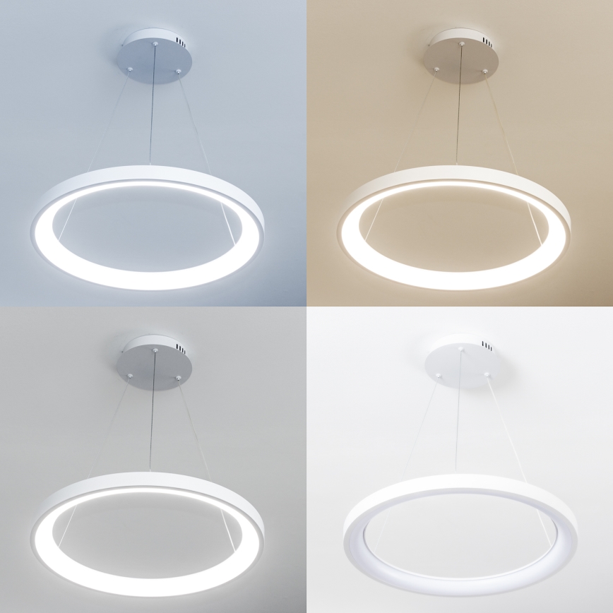 Brilagi - LED regulējams piekaramais lustrs uz troses FALCON SLIM LED/42W/230V 3000-6500K Ø 50 cm balts + tālvadības pults