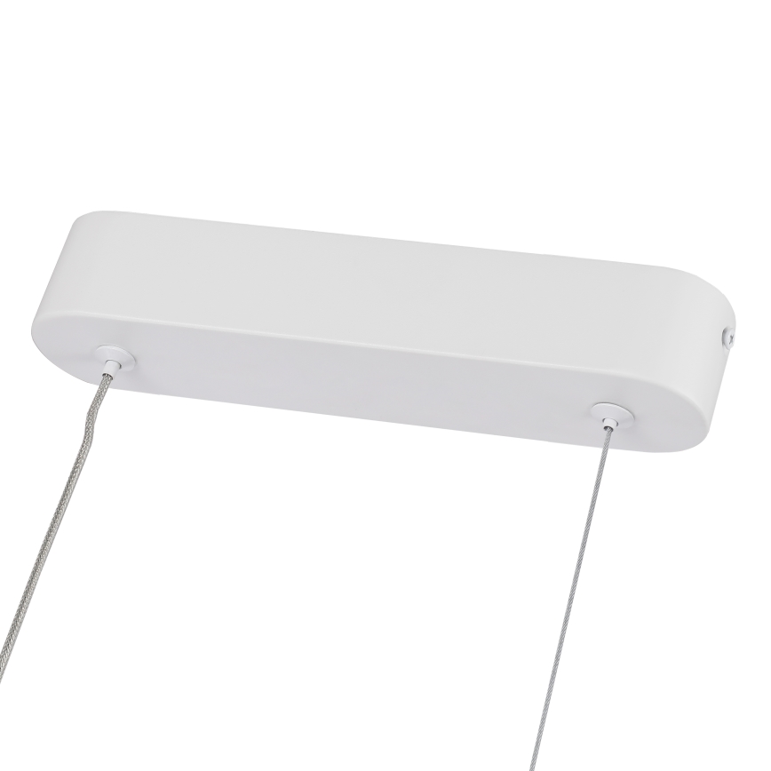 Brilagi - TWISTER LED aptumšojamā lustra uz troses LED/60W/230V 3000-6000K balta + tālvadība