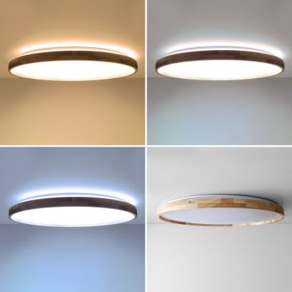 BRILAGI - Regulējama LED griestu lampa ALSON LED/72W/230V 3000-6500K ozols Ø 78 cm + tālvadības pults