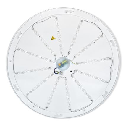 BRILAGI - Regulējama LED griestu lampa ALSON LED/72W/230V 3000-6500K ozols Ø 78 cm + tālvadības pults
