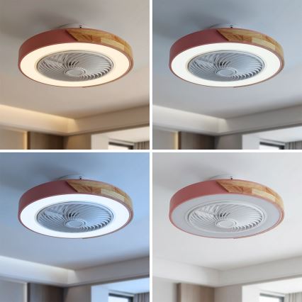 Brilagi - LED dimmējams griestu gaismeklis ar ventilatoru LED/38W/230V 3000-6500K Ø 50 cm rozā/ozols + tālvadības pults