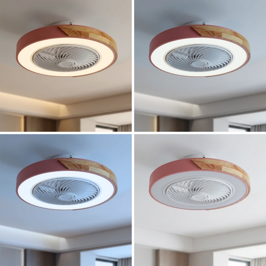 Brilagi - LED dimmējams griestu gaismeklis ar ventilatoru LED/38W/230V 3000-6500K Ø 50 cm rozā/ozols + tālvadības pults