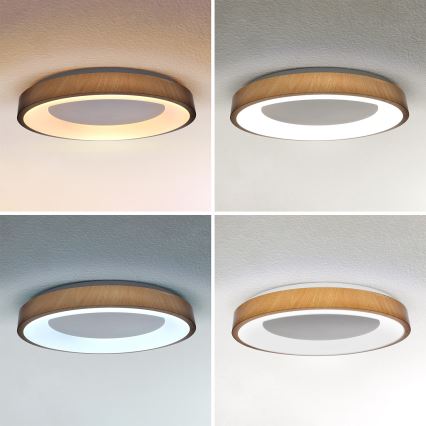 Brilagi - regulējama LED griestu lampa DORIA LED/60W/230V 3000-6500K Ø 60 cm + ar tālvadības pulti