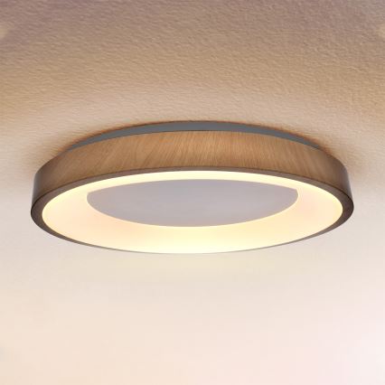 Brilagi - regulējama LED griestu lampa DORIA LED/60W/230V 3000-6500K Ø 60 cm + ar tālvadības pulti