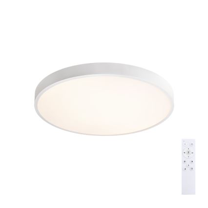 Brilagi - LED regulējams griestu gaismeklis GLASS POOL DOUBLE LED/48W/230V 3000-6000K 40 cm, balts + ar tālvadības pulti
