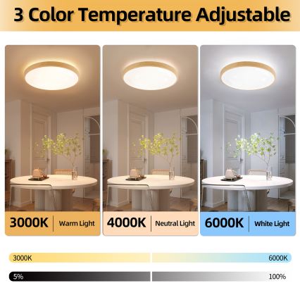 Brilagi - aptumšojams LED griestu gaismeklis GLASS POOL DOUBLE LED/80W/230V 3000-6000K 60 cm koka dekors + tālvadība