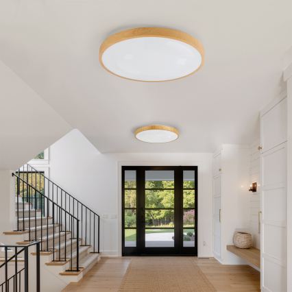 Brilagi - aptumšojams LED griestu gaismeklis GLASS POOL DOUBLE LED/80W/230V 3000-6000K 60 cm koka dekors + tālvadība