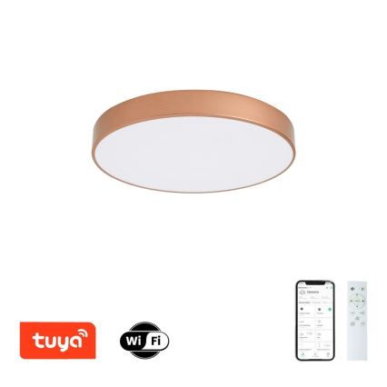 BRILAGI - LED dimējama griestu lampa POOL SMART LED/60W/230V 3000-6000K pr. 50 cm Wi-Fi Tuya vara krāsā + ar tālvadības pulti