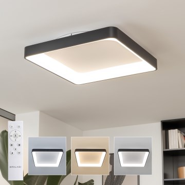 Brilagi - LED regulējams griestu gaismeklis FALCON II LED/125W/230V 3000-6500K 60x60 cm melns + tālvadība