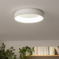 Brilagi - LED regulējams griestu gaismeklis FALCON LED/40W/230V 3000-6500K Ø 45 cm balts + ar tālvadības pulti