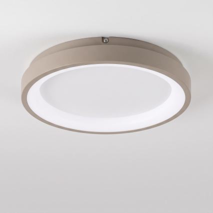 BRILAGI - LED Regulējams griestu gaismeklis FALCON SLIM LED/42W/230V 3000-6500K Ø 50 cm balta/bēša + tālvadība