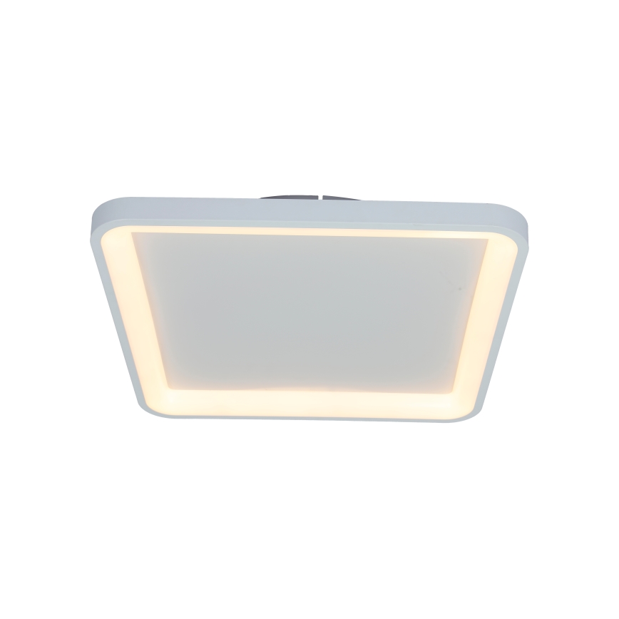 Brilagi - LED dimmējamais griestu gaismeklis FALCON SLIM LED/50W/230V 3000-6500K 50x50 cm balta + ar tālvadības pulti