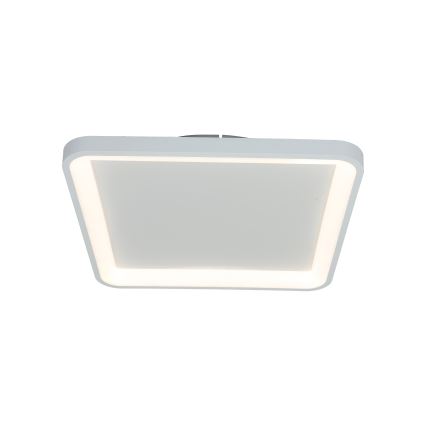 Brilagi - LED dimmējamais griestu gaismeklis FALCON SLIM LED/50W/230V 3000-6500K 50x50 cm balta + ar tālvadības pulti