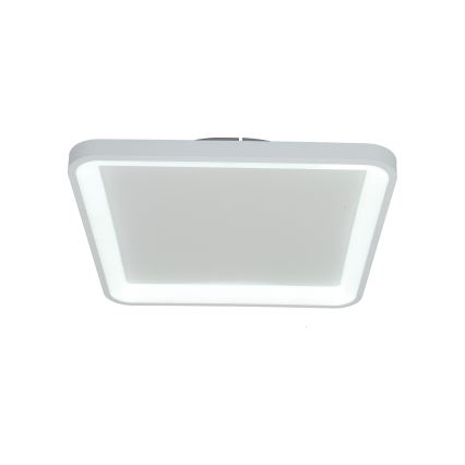 Brilagi - LED dimmējamais griestu gaismeklis FALCON SLIM LED/50W/230V 3000-6500K 50x50 cm balta + ar tālvadības pulti