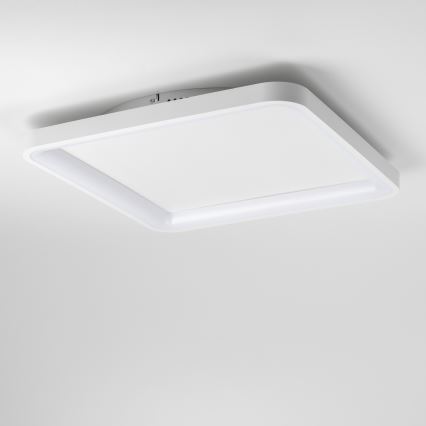 Brilagi - LED dimmējamais griestu gaismeklis FALCON SLIM LED/50W/230V 3000-6500K 50x50 cm balta + ar tālvadības pulti